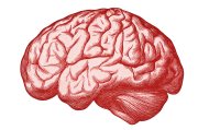 Binaural Brain Icon