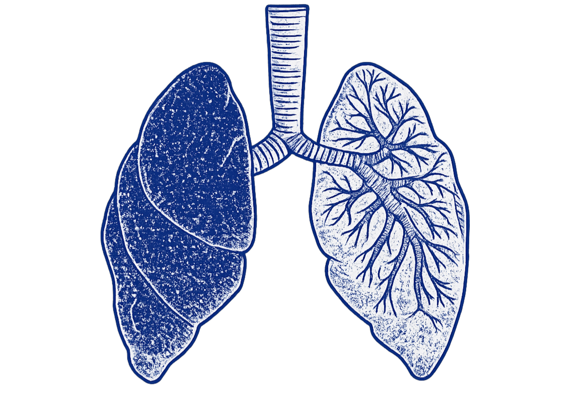 Somatic Breathwork Icon
